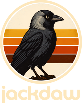 Jackdaw